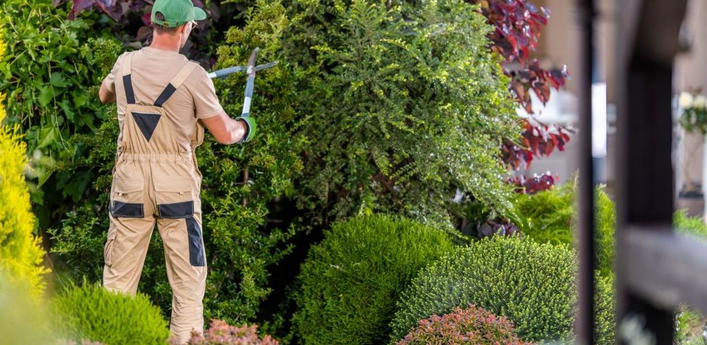Jardinagem e Manutenção: Preservando Espaços Verdes e Estruturas com Eficiência